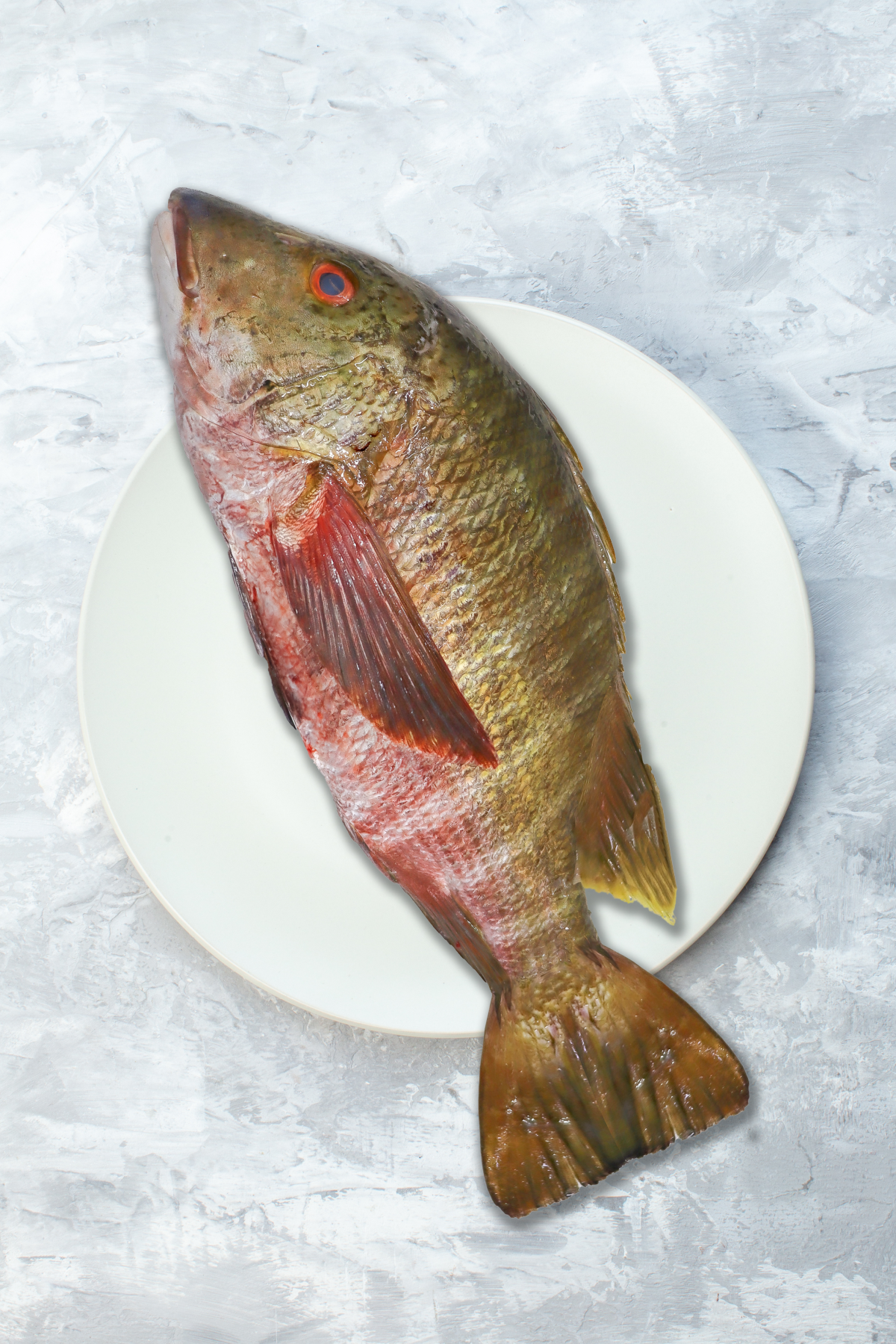 Coconaco Snapper — Vortix Seafood